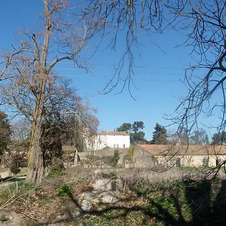 Le Domaine Du Chapitre Каркассонн